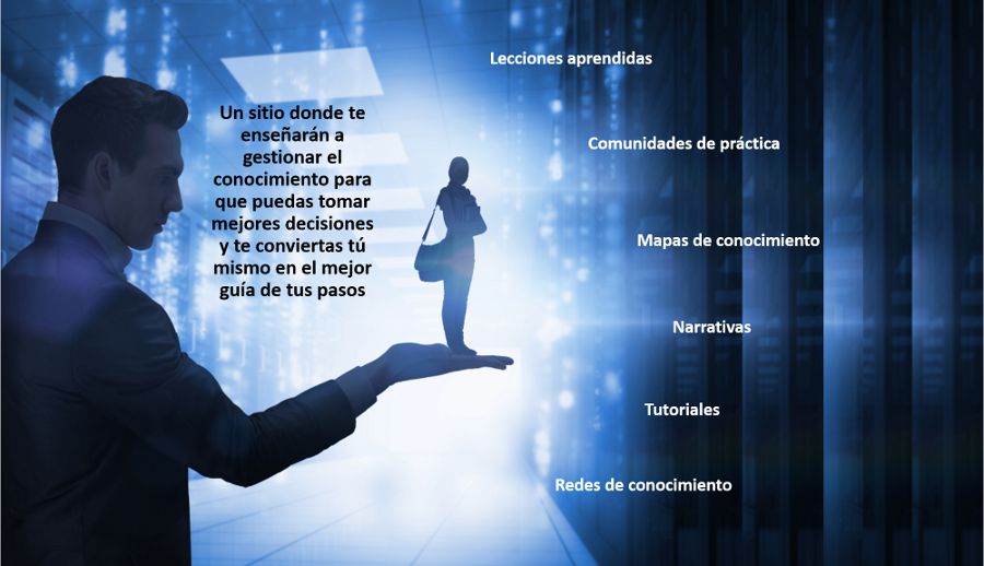 imagen5